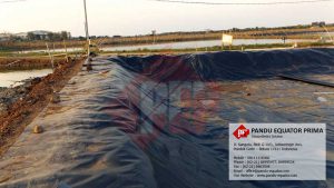 geomembrane pada tambak