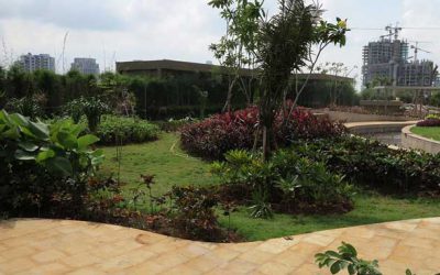 Drainage Cell Digunakan Sebagai Sistem Aliran Air  dan Penyerapan Air pada Taman Atap (Roof Garden)