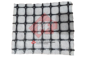 geotextile - geogrid composite