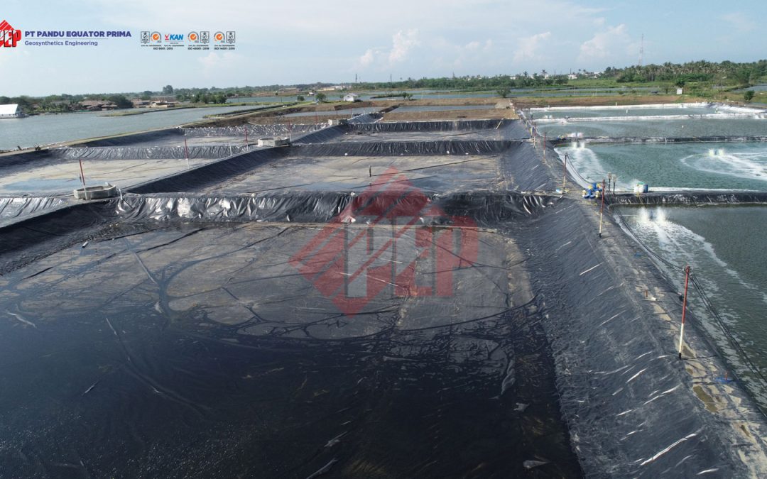 Pembahasan Lengkap Geomembrane HDPE untuk Tambak: Fungsi, Keunggulan, dan Aplikasinya