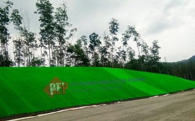 Berapa Lama Geomat Dapat Bertahan dan Membantu Pertumbuhan Vegetasi pada Lereng?