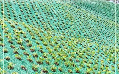 Peran Struktur 3D Geomat dalam Mengurangi Energi Aliran Permukaan di Lereng