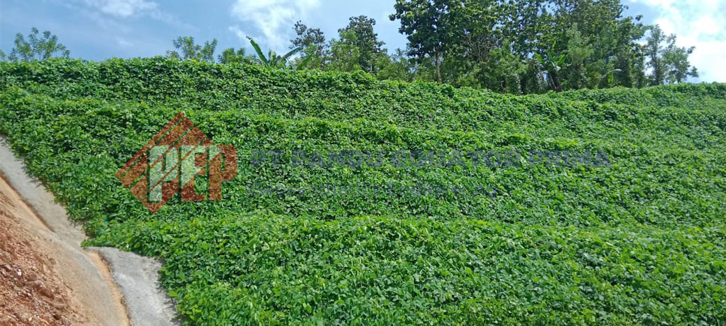 Dokumentasi Aplikasi Hydroseeding Sebelum dan Sesudah Tumbuh Tanaman Vegetasi