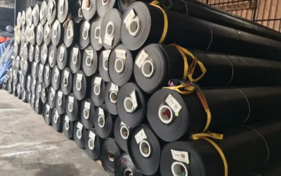 Seberapa Efektif Geomembrane untuk Tanah Ekspansif?