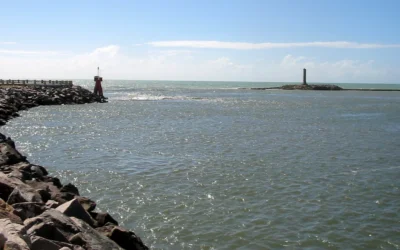 Apa Itu Timbunan Breakwater, Causeway, dan Jetty? Mengapa Non Woven Geocomposite Diperlukan?
